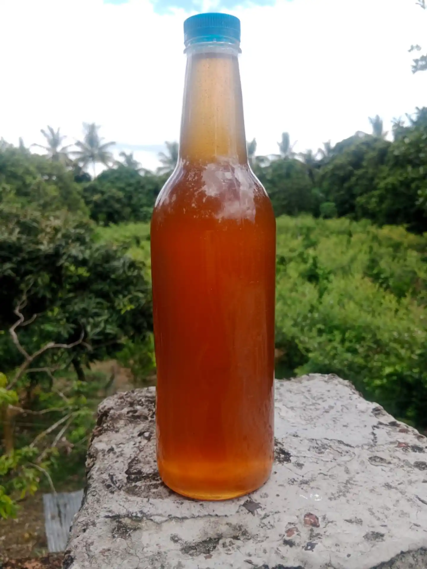 প্রাকৃতিক চাকভাঙ্গা মধু - Image 2