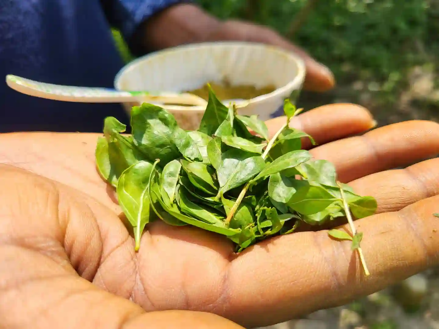 প্রাকৃতিক মেহেদি পাতার গুরা - Image 3