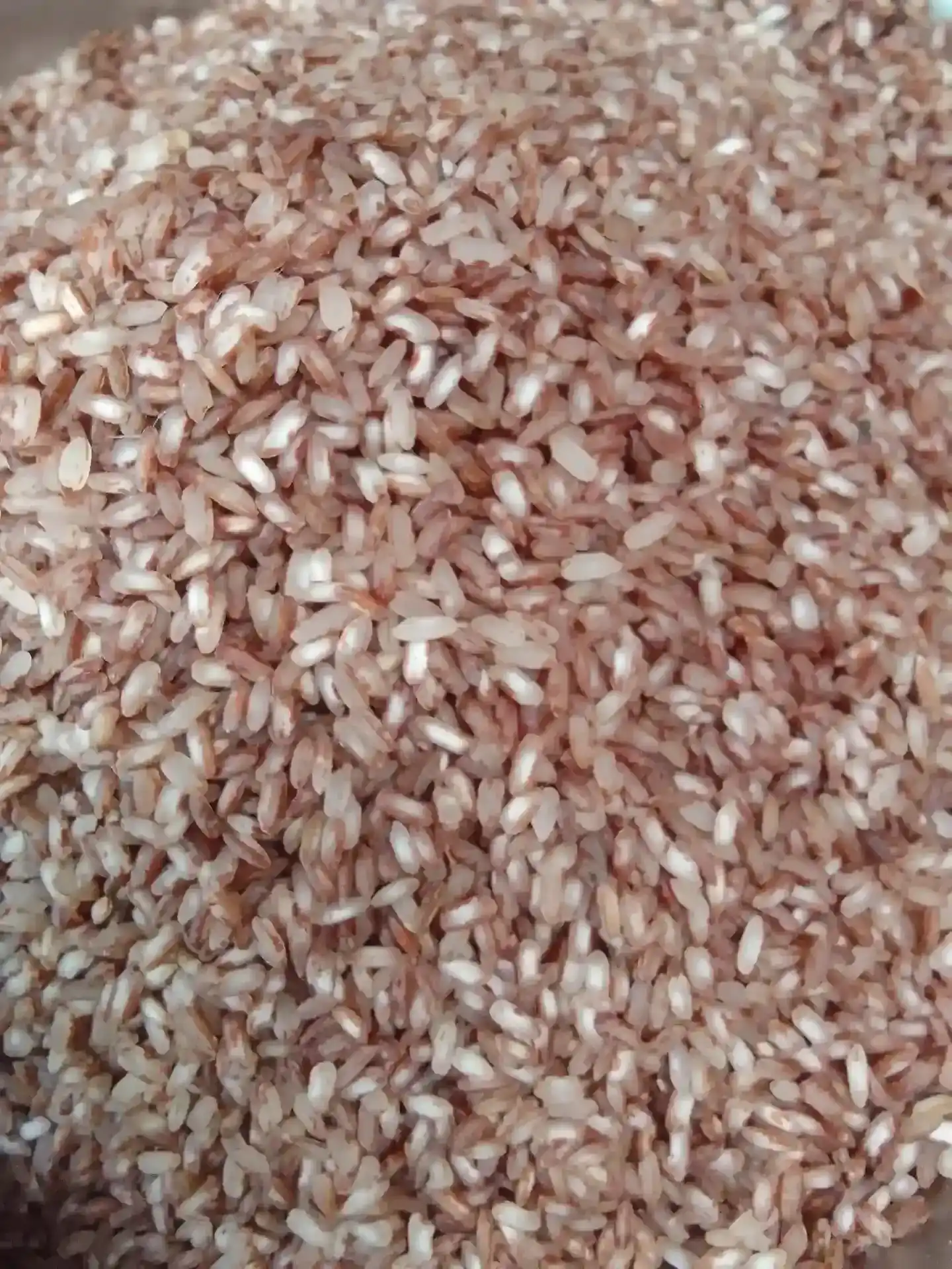 ঢেঁকি ছাটা লাল চাল (আমন) - Image 4